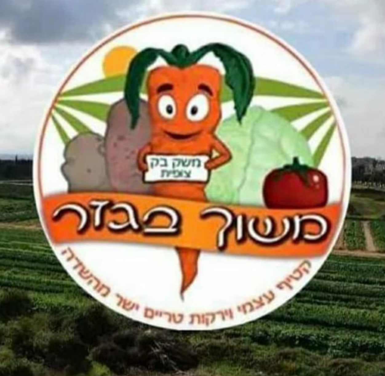 גזר מצויר מחייך שמחזיק שלט, לצד תפוח אדמה, כרוב ועגבנייה, על רקע שדה ירוק. כיתוב: משוך בגזר, קטיף עצמי וירקות טריים ישר מהשדה